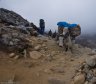 nepal-9180.jpg - 